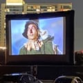 What state has the biggest drive-in theater?